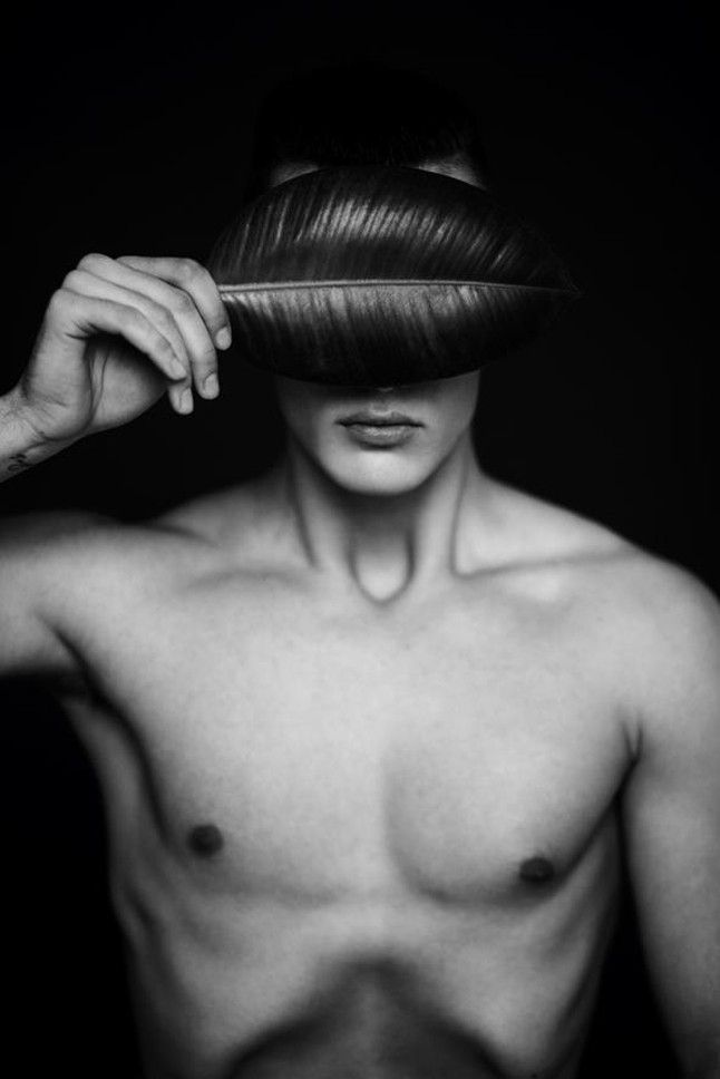 Zsólyomi Norbert kedvencekről