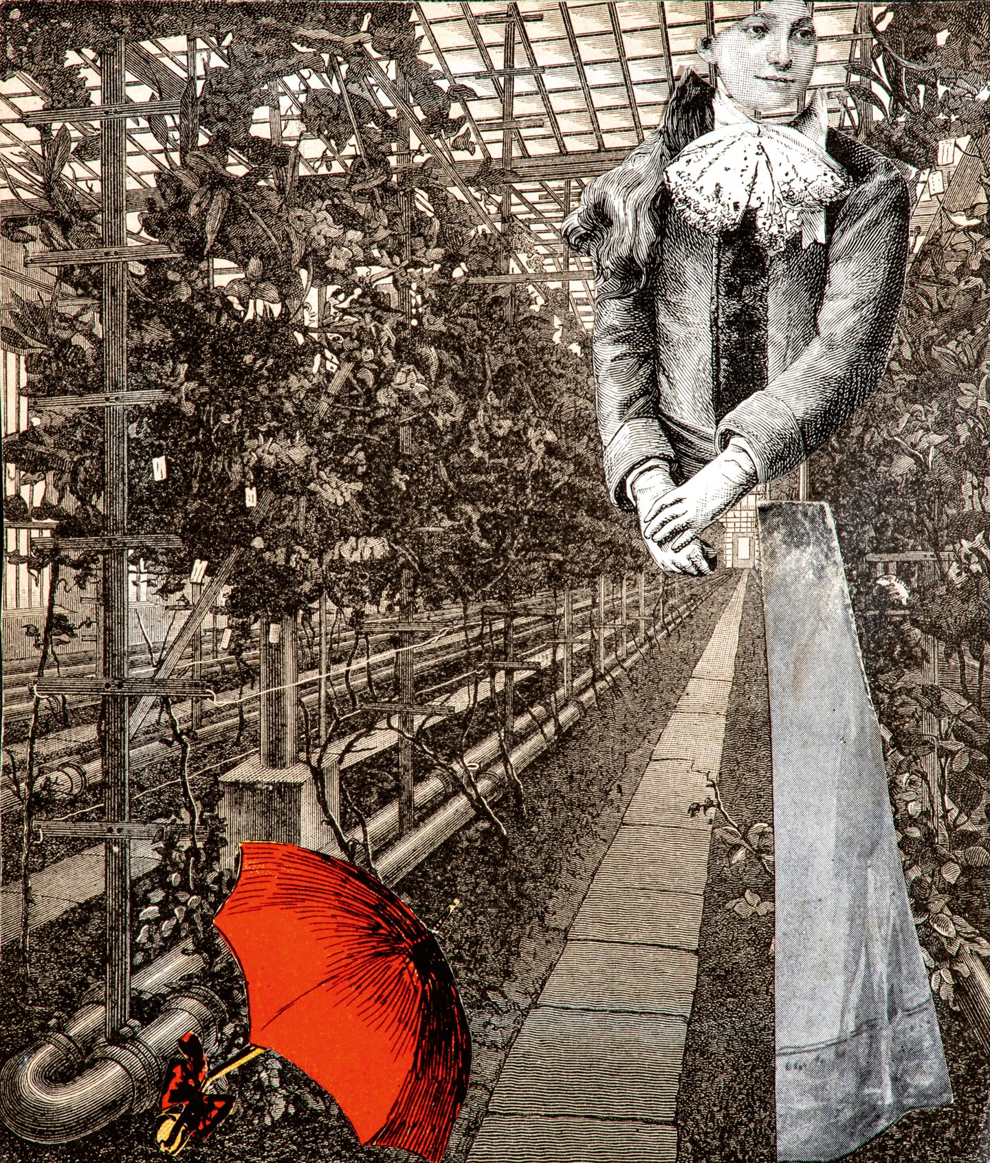 Orszag Lili: Üvegház