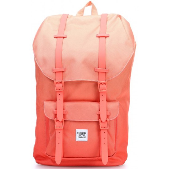 Nyári akciók és különlegességek a PIG SHOES-nál!