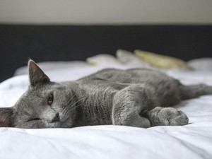 A feng shui szerint ilyen a tökéletes hálószoba