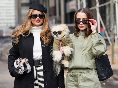  A gazdiknak kell megtanulniuk „kutyául”, hogy ne csak a kutya tanuljon meg „emberül”