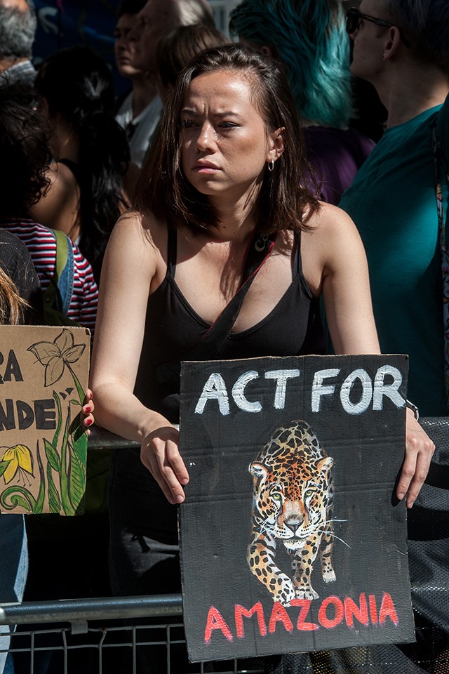 Mi az, amit most azonnal tehetsz az égő esőerdőkért?