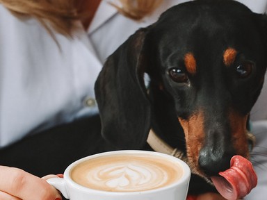 Alig egy éve nyílt, de már most Budapest egyik leghangulatosabb étterme ez a kis ékszerdoboz
