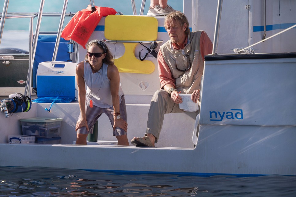 A film Diana Nyad hihetetlen óceáni küzdelmét mutatja be Annette Bening és Jodie Foster pazar alakításával