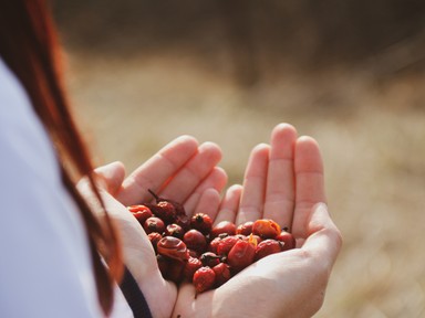 5 természetes csodaszer a skandinávok ajánlásával: te próbáltad már őket?
