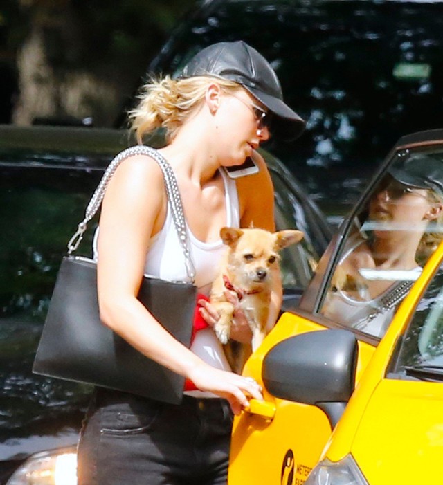 Ilyen lazán taxizik Jennifer Lawrence és kutyusa!