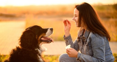 Csak egy igazán boldog kutyán látod ezeket a jeleket!