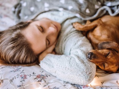 Kiderült, ajánlott-e a kutyával aludni a pszichológusok szerint