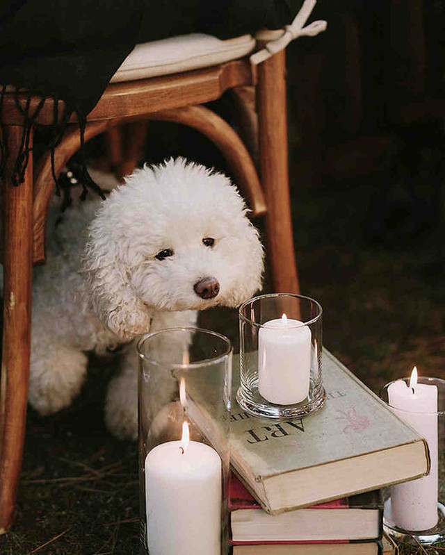 Egy gyönyörű, varázslatos esküvő, amit a Harry Potter világa inspirált