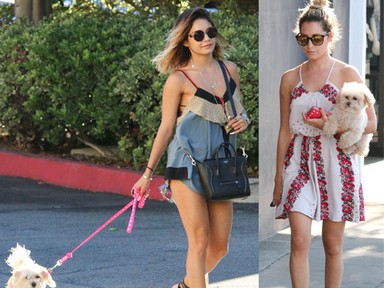 Kutyás sztárok: Vanessa Hudgens és Ashley Tisdale