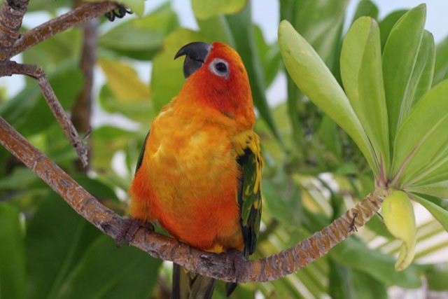 Így hozz ki egy Maldív-szigeteki utazást egy európai út árából