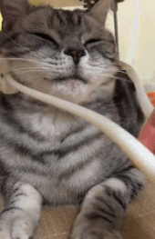 Így növeszd meg a hajad hipergyorsan!