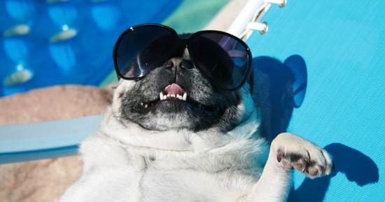 Szakértő orvost kérdeztünk: meddig tart ki a nyáron begyűjtött D-vitamin?