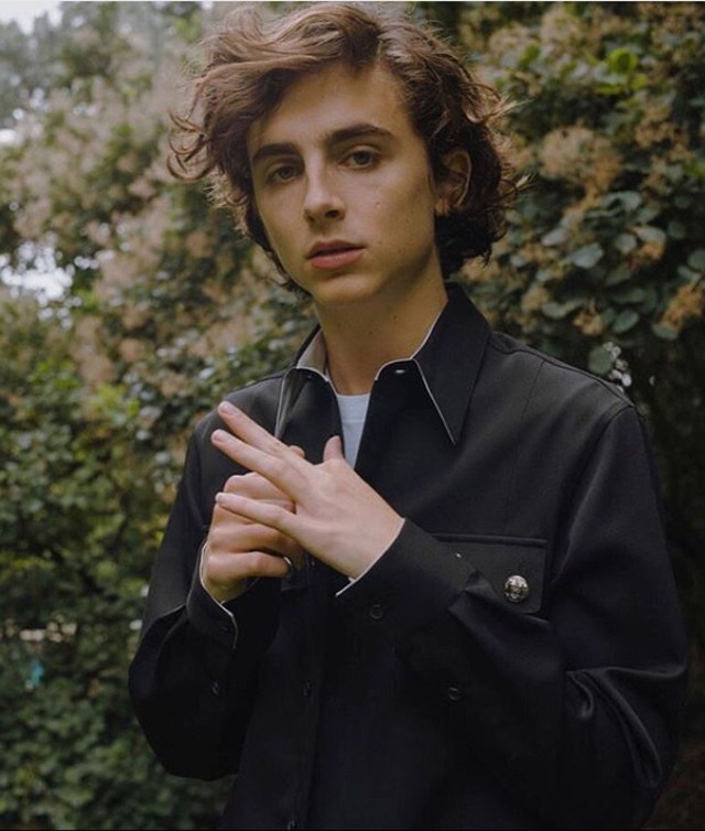 Timothée Chalamet