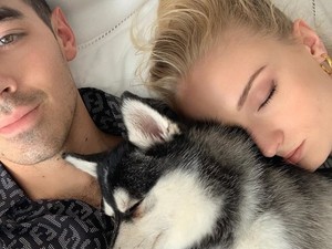 Sophie Turner és Joe Jonas kutyája volt a legjobban öltözött az esküvőjükön