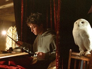 Daniel Radcliffe rangsorolta a Harry Potter-filmeket, ez a rész került az utolsó helyre