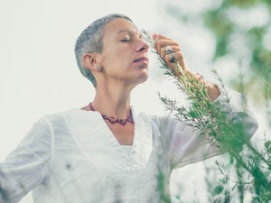 Filléres gyógynövény, ami az Alzheimer-kórt is segít megelőzni: csökkenti a szorongást és javítja az alvás is