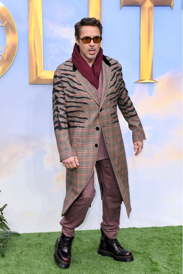 Robert Downey Jr. Dolittle