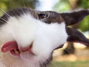 Miért emlékszik a másik rosszul?