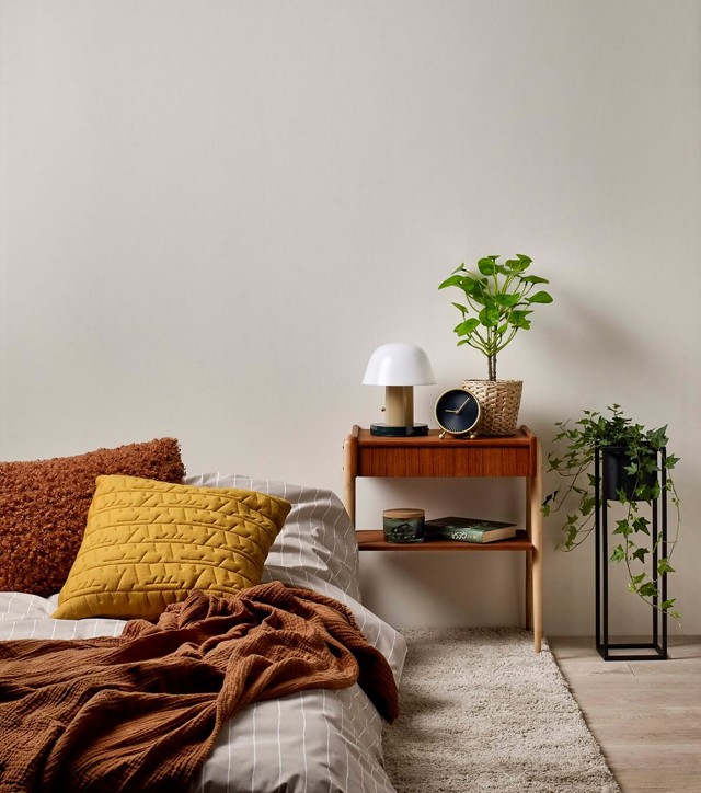 Baktériumok ellen falfestékkel? 5 meglepő tény a tisztasági festésről