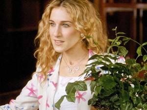 3+1 tipp, hogy a szobanövényeid ne pusztuljanak el