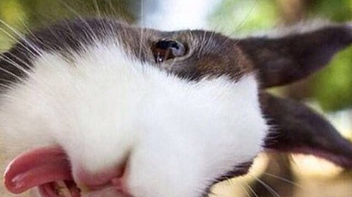 Miért emlékszik a másik rosszul?