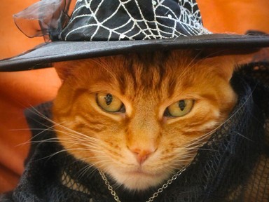 Démon helyett feminista erő: a boszorkánykultusz újjászületett és bátrabb, mint valaha