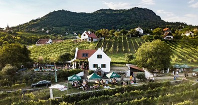 Borrajongók figyelem: hamarosan itt a Szent György-hegy Matiné!