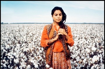 Sarita Choudhury karrierje 1991-ben, a Mississippi Masala című romantikus drámának köszönhetően kapott szárnyra. 