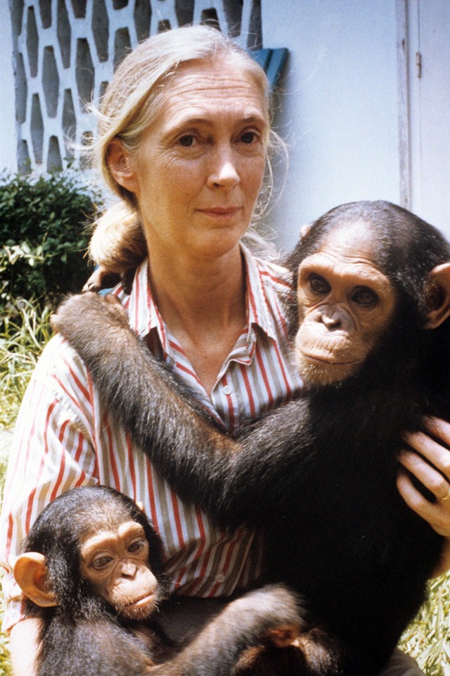 Ed Sheeranon és a Foo Fighters-en túl: Ma jelentett be a Sziget két világszenzációt a sajtótájékoztatóján