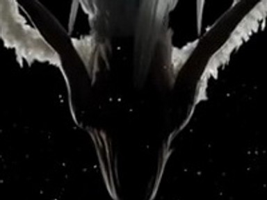 Újabb magyar siker: Tombor Zoltán és Vigh Dávid divatvideója a legjobbak között