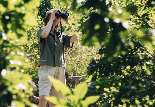 Jane Goodall kilencvenedik születésnapja magyar divatkollekciót ihletett