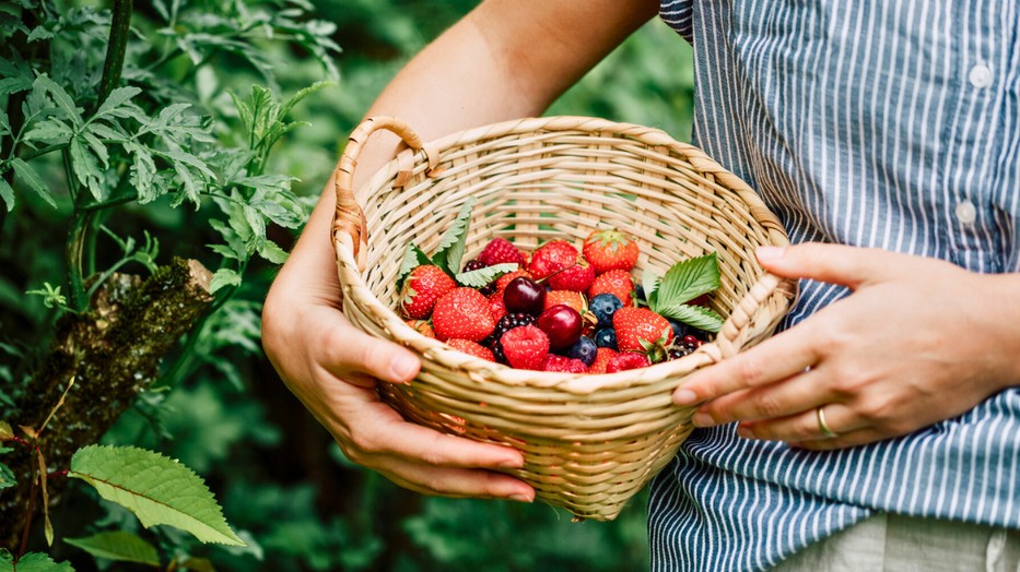 A bogyós gyümölcsök is visszafordíthatják az öregedést