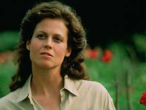 Ez történik, ha egy terapeuta a dzsungelbe megy - Dian Fossey gorillák között talált otthonra