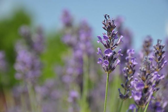 6 kúl program júniusban, amin kötelező ott lenned