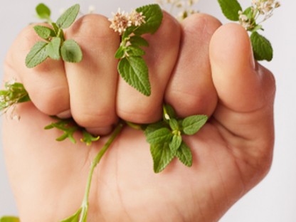 Hatalmas összeggel támogatja a L`Oréal a kiszolgáltatott nőket és a környezet megóvását