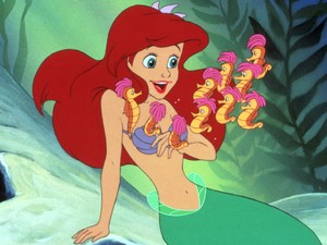 A kis hableány sminkecset-készlet egy megvalósult álom