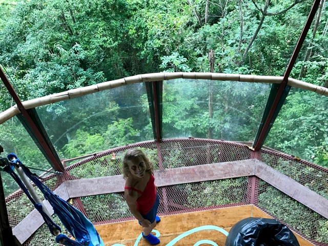 "Jane-élmény" a fa tetején