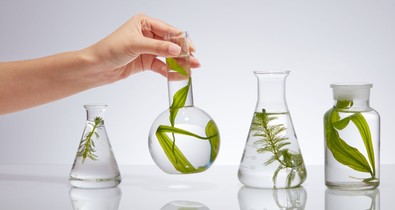 Magyar kozmetikai siker: nemzetközi kutatási projektben a Helia-D fejlesztőcsapata