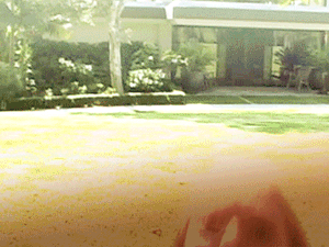 Ne legyél kishitű ma sem - Egymondatos horoszkóp - november 8. kedd