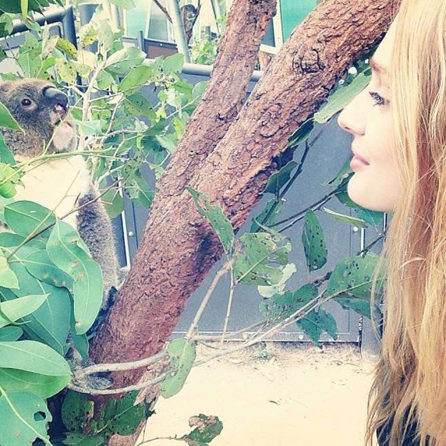 Hajdu Niki a kenguruk földjén hódít!