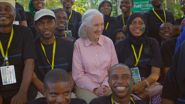 Elképesztően izgalmasnak ígérkezik a Jane Goodallról szóló dokumentumfilm