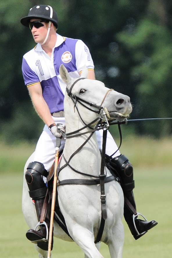 Herceg fehér lovon...