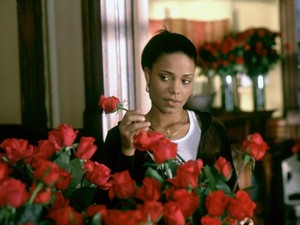 3 nagy szerelem van az életben