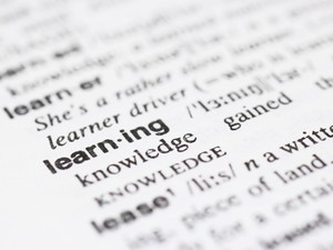 Tudtad, hogy a nyelvtanulás nem csak hasznos, hanem jó hatással van az agyadra is?