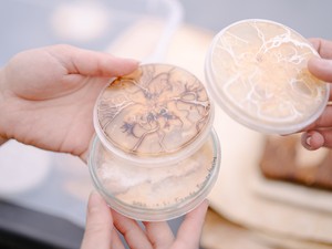 A szülői ház kőrisfáján felfedezett gomba lehet a fenntartható divatipar egyik titka - A Fraxinea alapítóival beszélgettünk