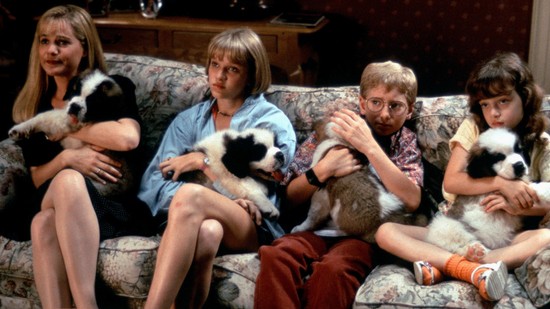 A pszichológus is megerősítette: így hat a mentális egészségedre a  kisállatod