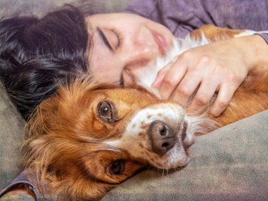 Aludj jól, szeress jobban: az érzelmi jóllét titka éjszaka kezdődik