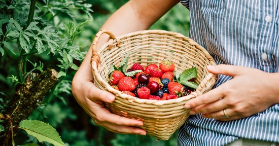 4 étel, ami gyakorlatilag megállítja a test öregedését: évekkel kitolhatod az élettartamodat, ha naponta eszel belőlük