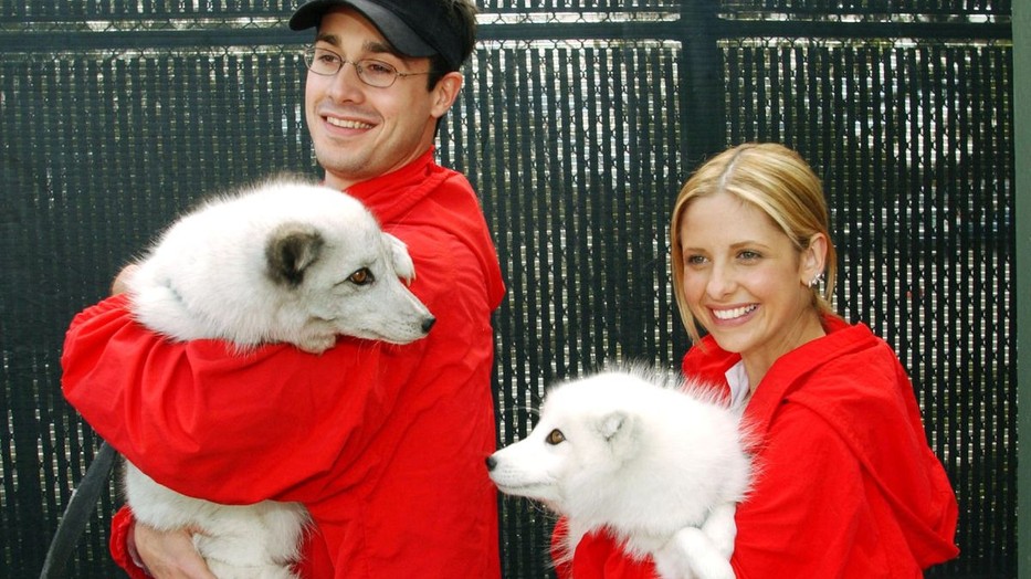 Sarah Michelle Gellar és Freddie Prinze Jr. visszatért, és édesebbek, mint valaha